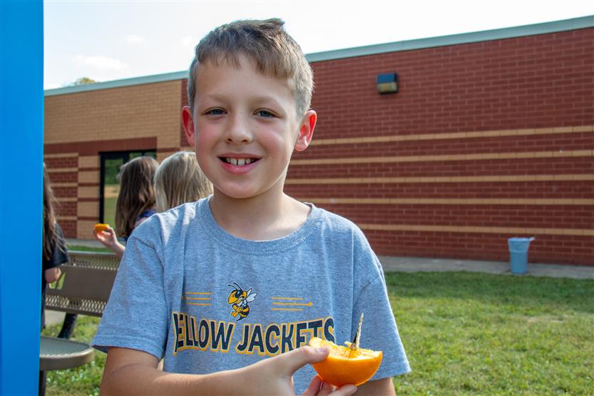 A boy holds a butterfly on an orange slice